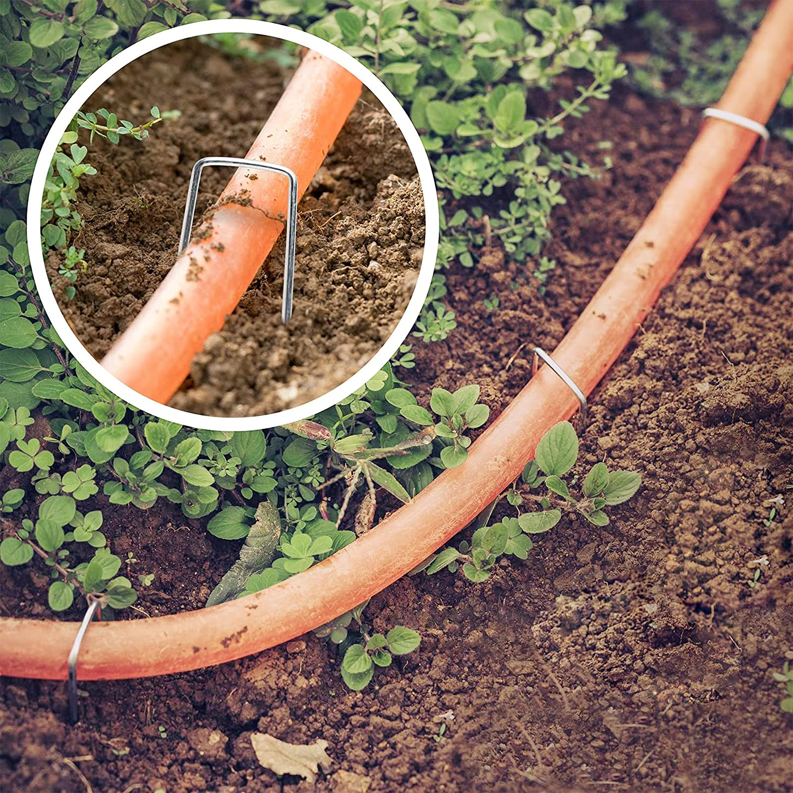 thumbnail: Zevlux Tuin Nietjes 4 Inch - 50 Stuks Gegalvaniseerde Zware Landschapspennen