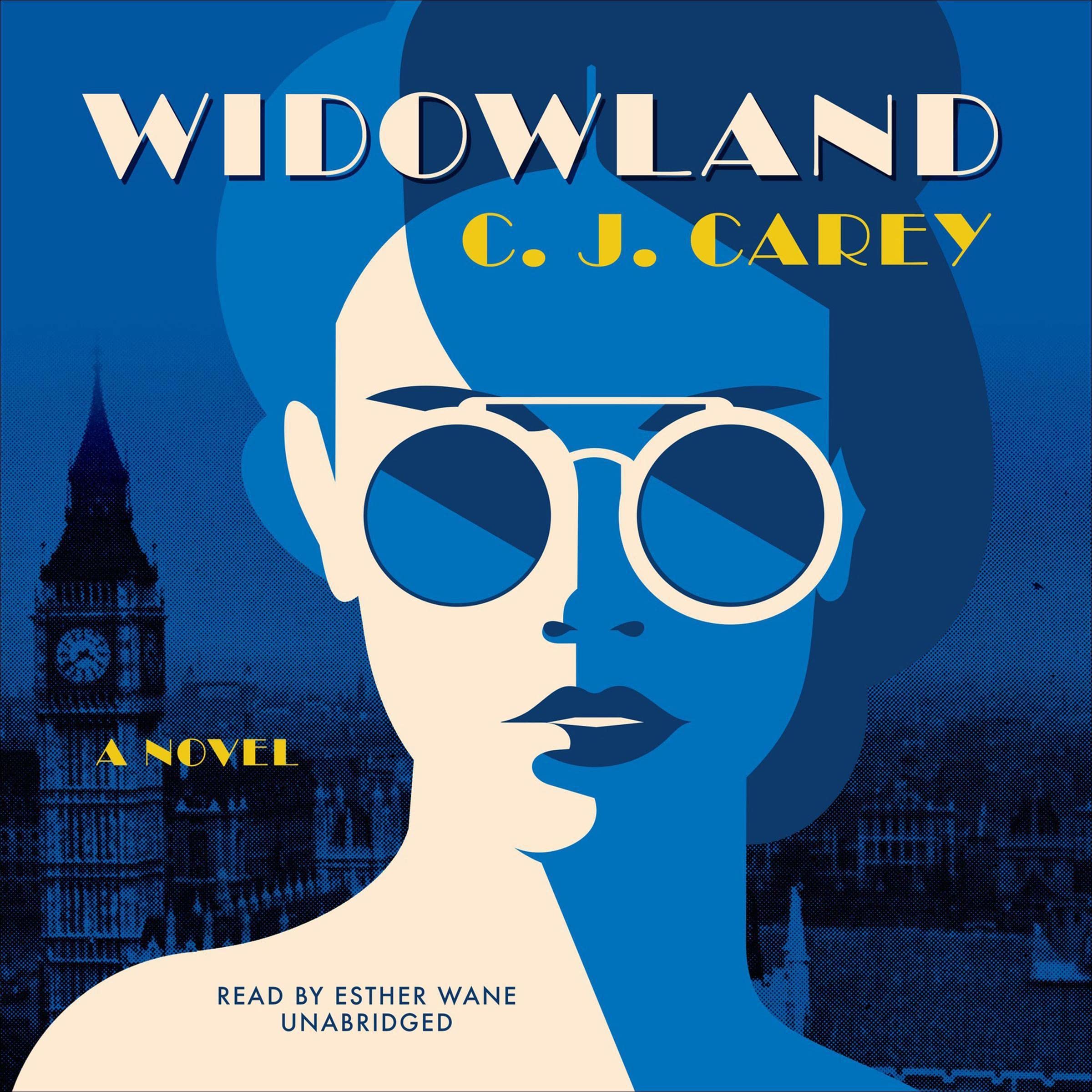 Cover art for Widowland