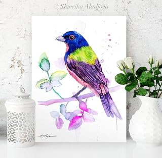 Painted bunting watercolor painting print by Slaveika Aladjova