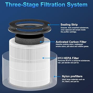 Tailulu D10 Official Air Purifier Replacement Filter(2 Pack)