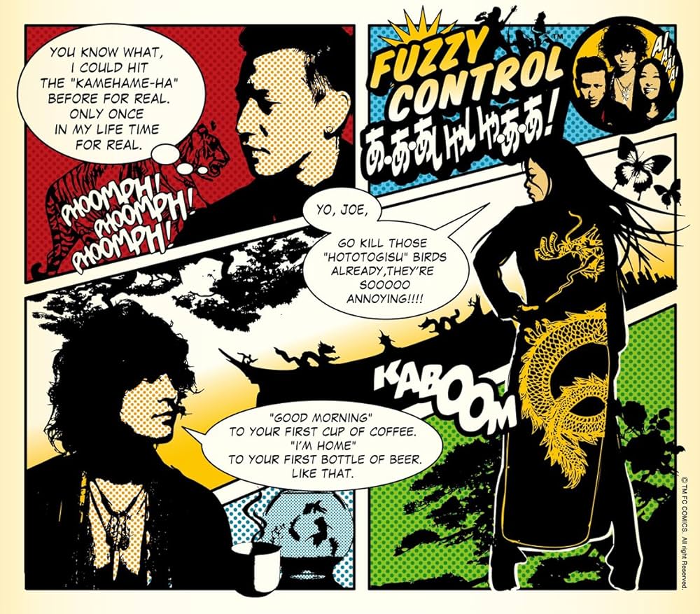 FUZZY CONTROL ファジーコントロール CD 15枚セット Amazon.co.jp