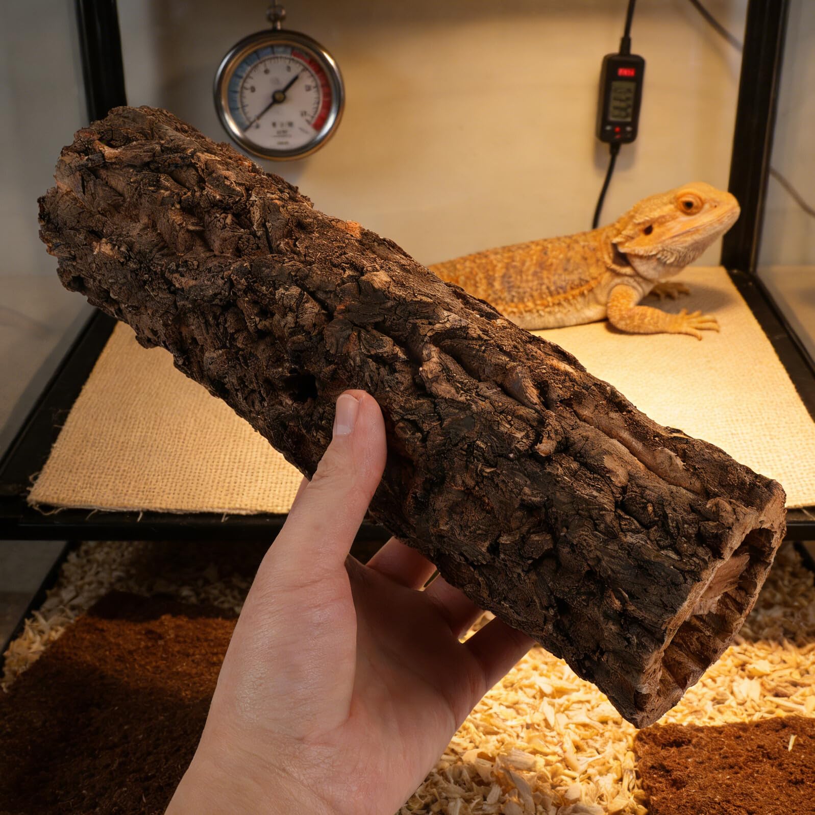 Hohopeti Escondite para Reptiles Cueva Tronco Natural Diámetro 7,5 Cm Altura 30 Cm Decoración Selva Tropical Refugio para Lagartos Serpientes Tortugas y Arañas Zona de Descanso y Trepado