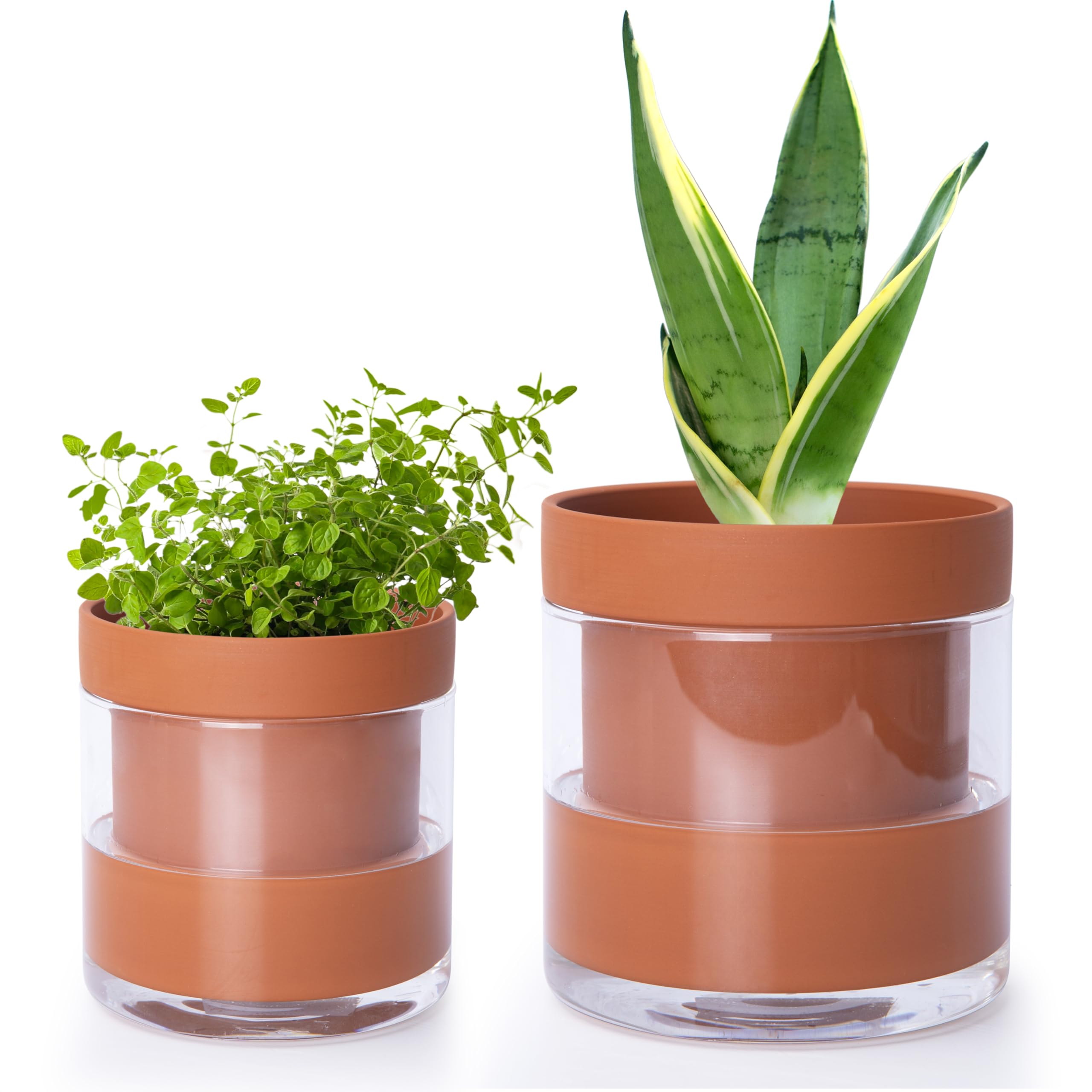 Amazon.com: Phoenix Vine 4 Inch 6 Inch Self Watering Planter Pots, Terracotta  Clay Pots with Glass Reservoir for Indoor Plants, Herbs, Flowers, 52-A-G-46  : Patio, Lawn & Garden