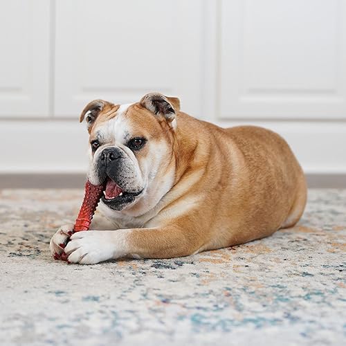 Miniatura 7 de Nylabone - Juguete Flavor Frenzy saborizado para perro con mordida poderosa