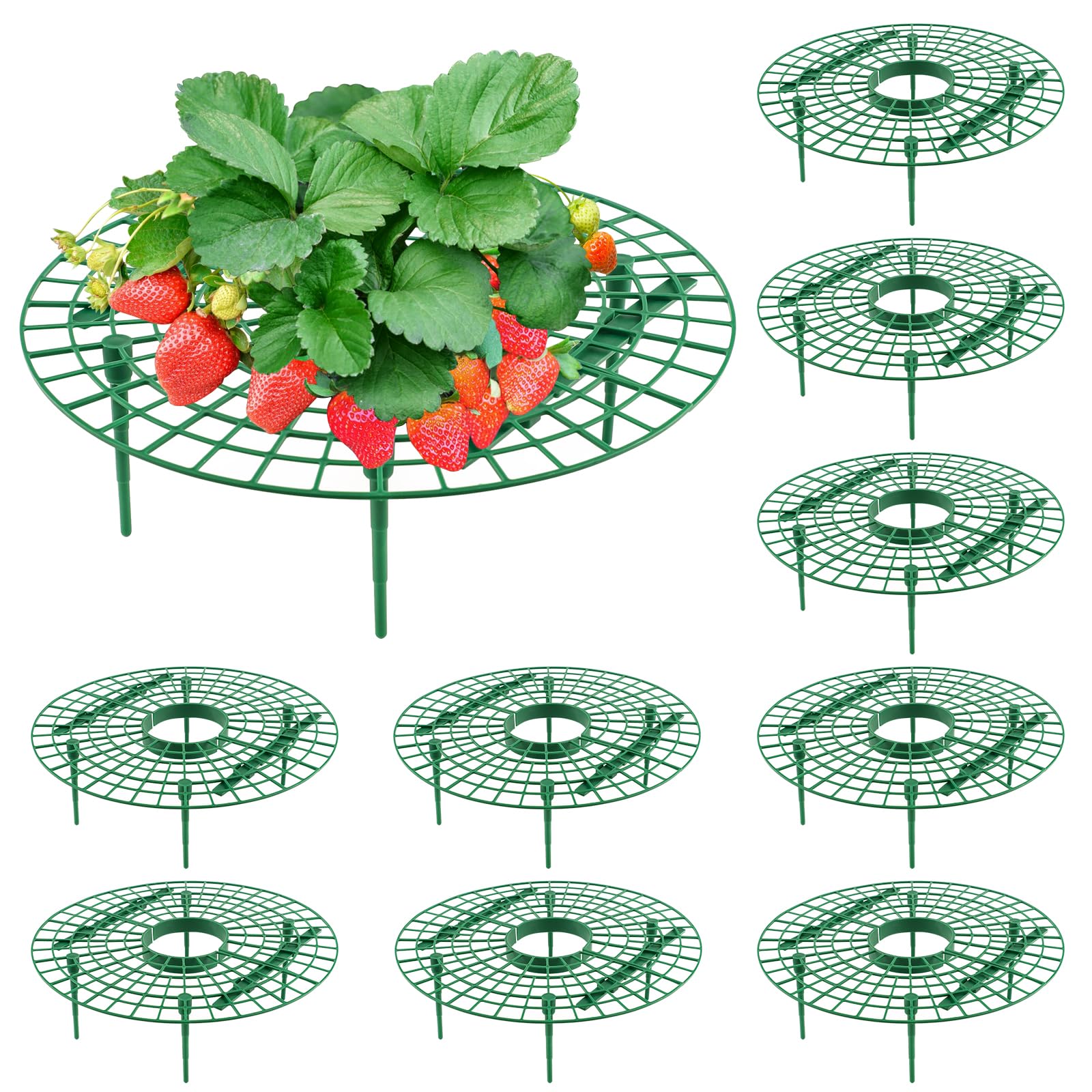 10 Pack Strawberry Plant Support, Round Strawberry Growing Racks, Strawberry Planting Stand, Keeping Garden Strawberry Plants Clean, Strawberry Growing Frame