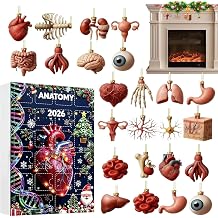 Human Anatomy - 24 Day Acrylic Body Part Ornaments, Christm
