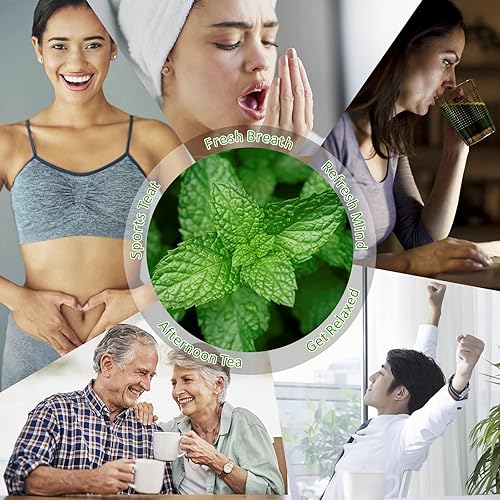 Miniatura 6 de Té de menta, hoja suelta de menta seca, hojas de menta, té de hierbas de hierbabuena, fuerte y fresco, 100% natural crudo, 2.1 onzas
