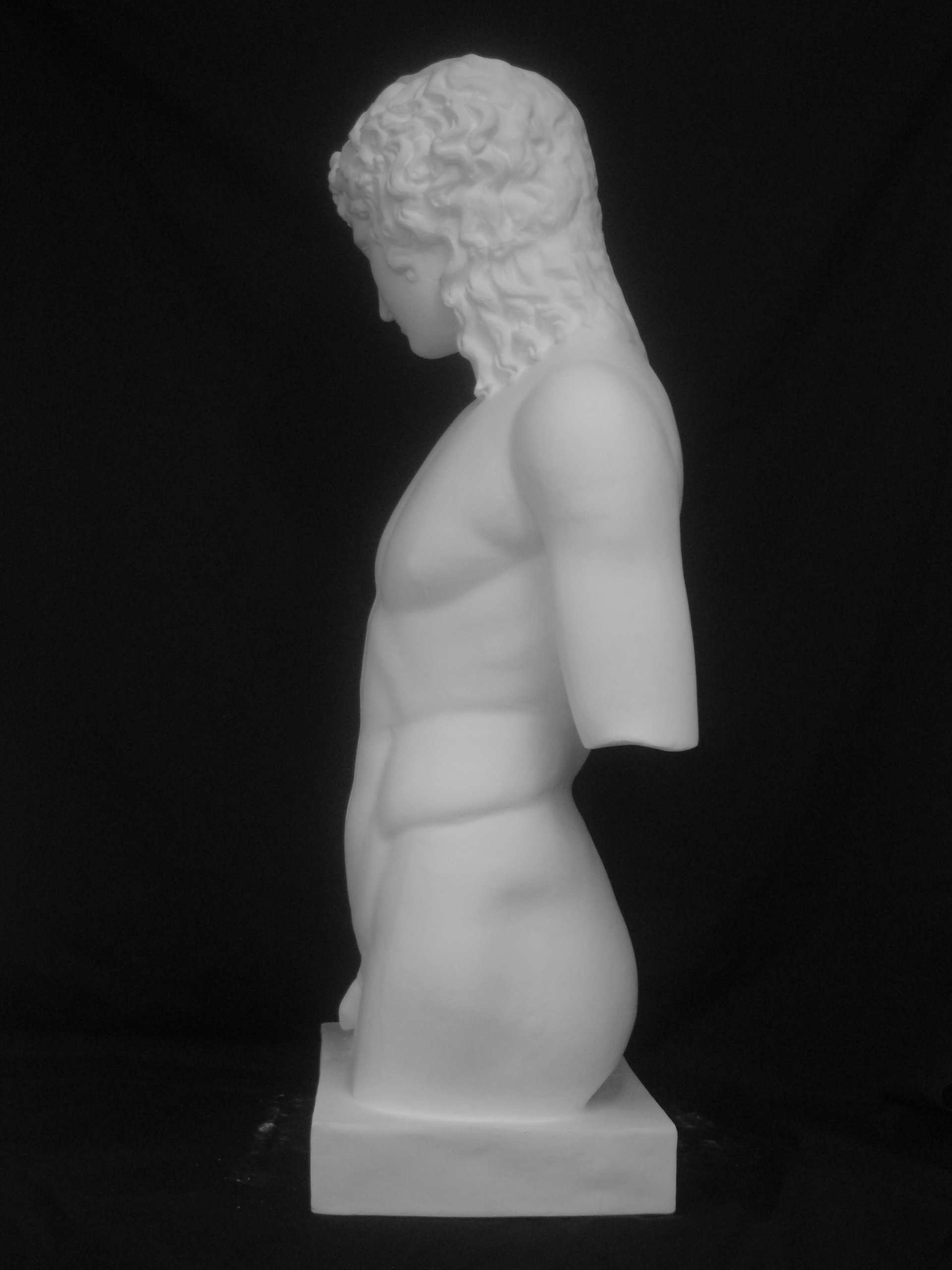 Amazon.co.jp: 石膏像 H－010 アムール半身像 H．95cm