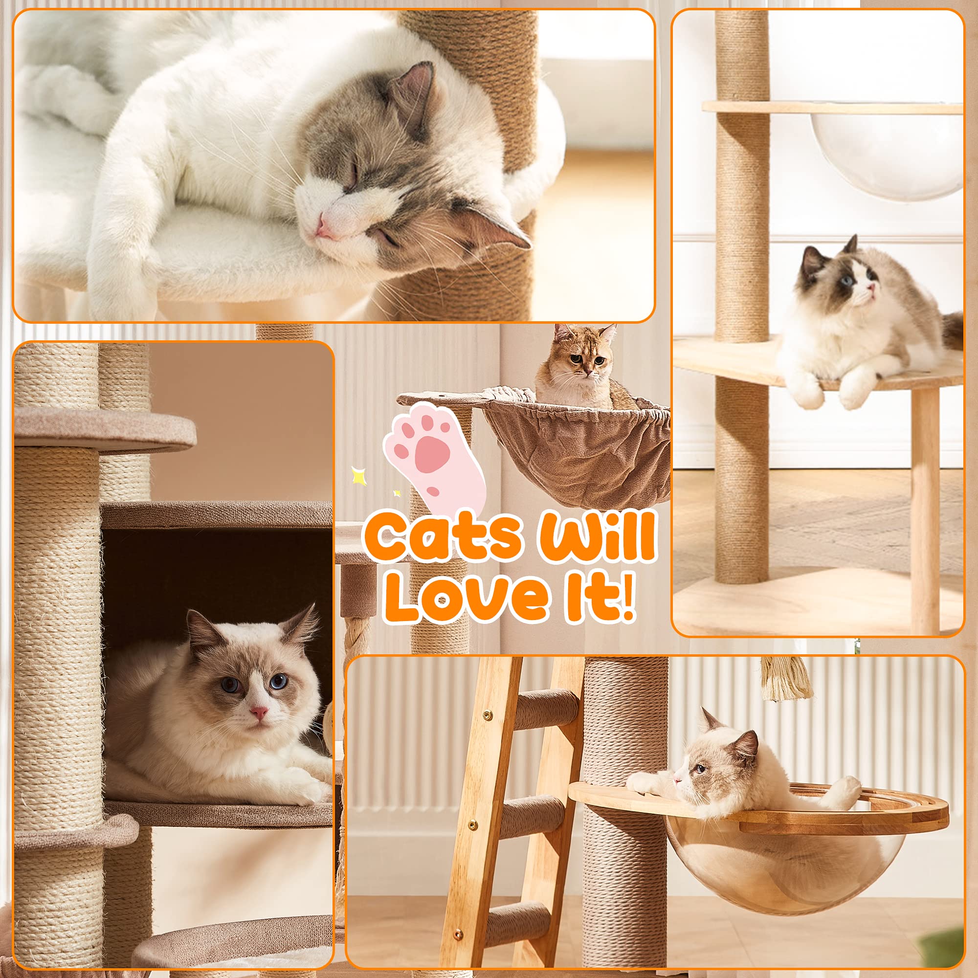 View 5