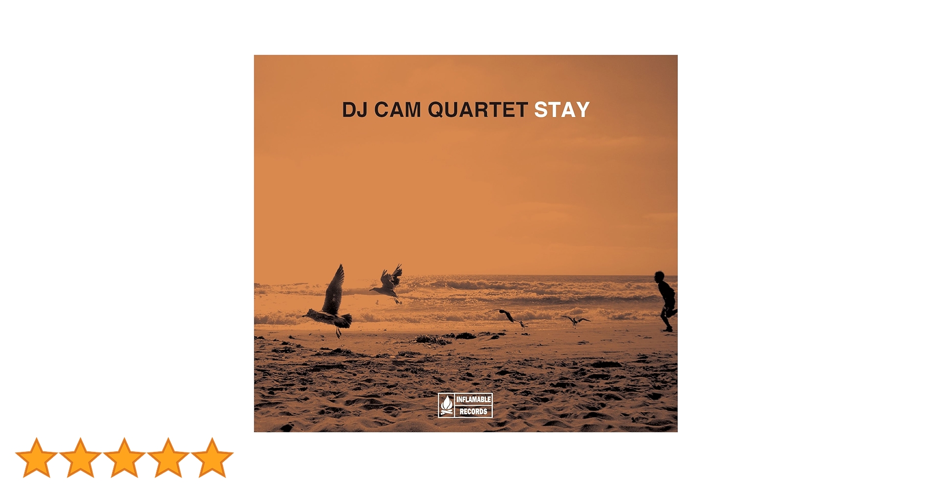 Amazon.co.jp: ステイ: ミュージック Amazon.co.jp: ステイ: ミュージック