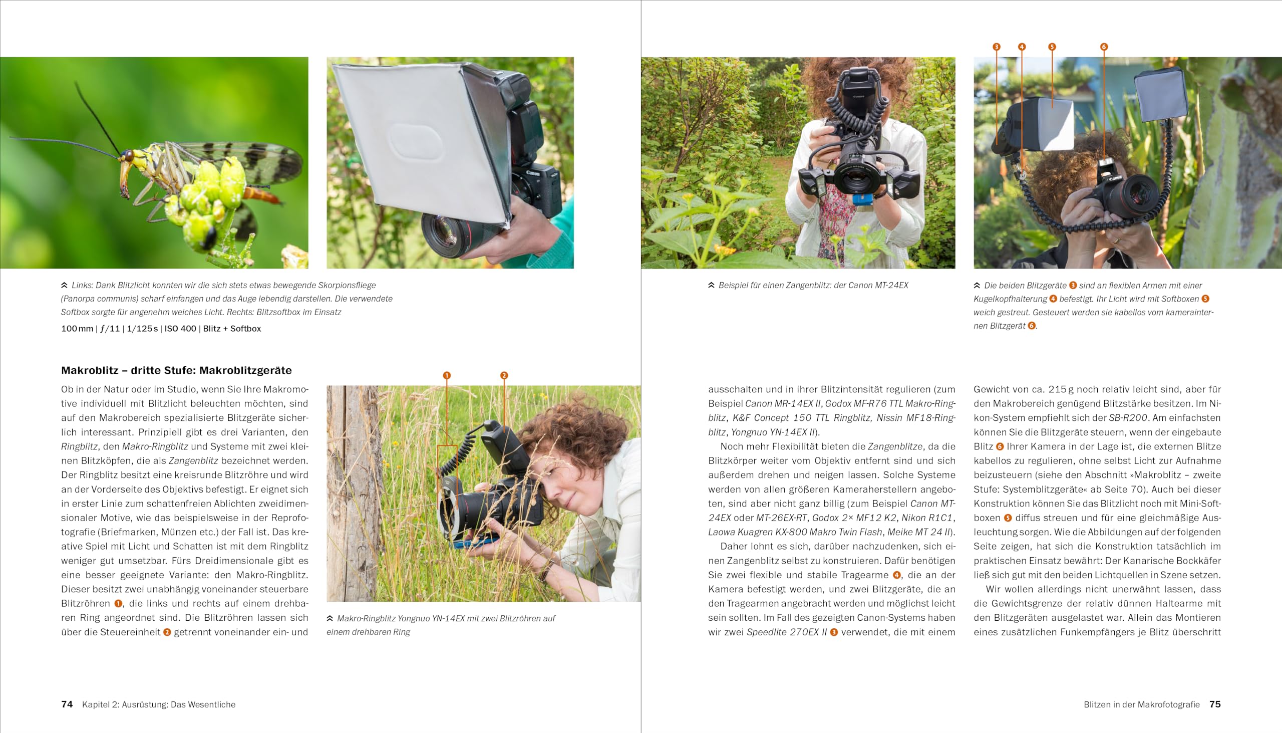 Makrofotografie: Die große Fotoschule. Pflanzen, Insekten und Objekte fotografieren. Ausrüstung, Technik, Bildgestaltung, Motivideen (Auflage 2024)