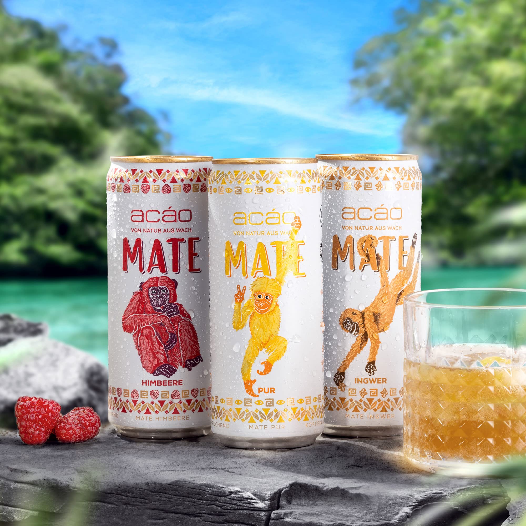 acáo Bio Mate Himbeere (12 × 330 ml Dose) – super fruchtig, kalorienarm – Natural Energy Drink, koffeinhaltiges Erfrischungsgetränk – Mate Tee