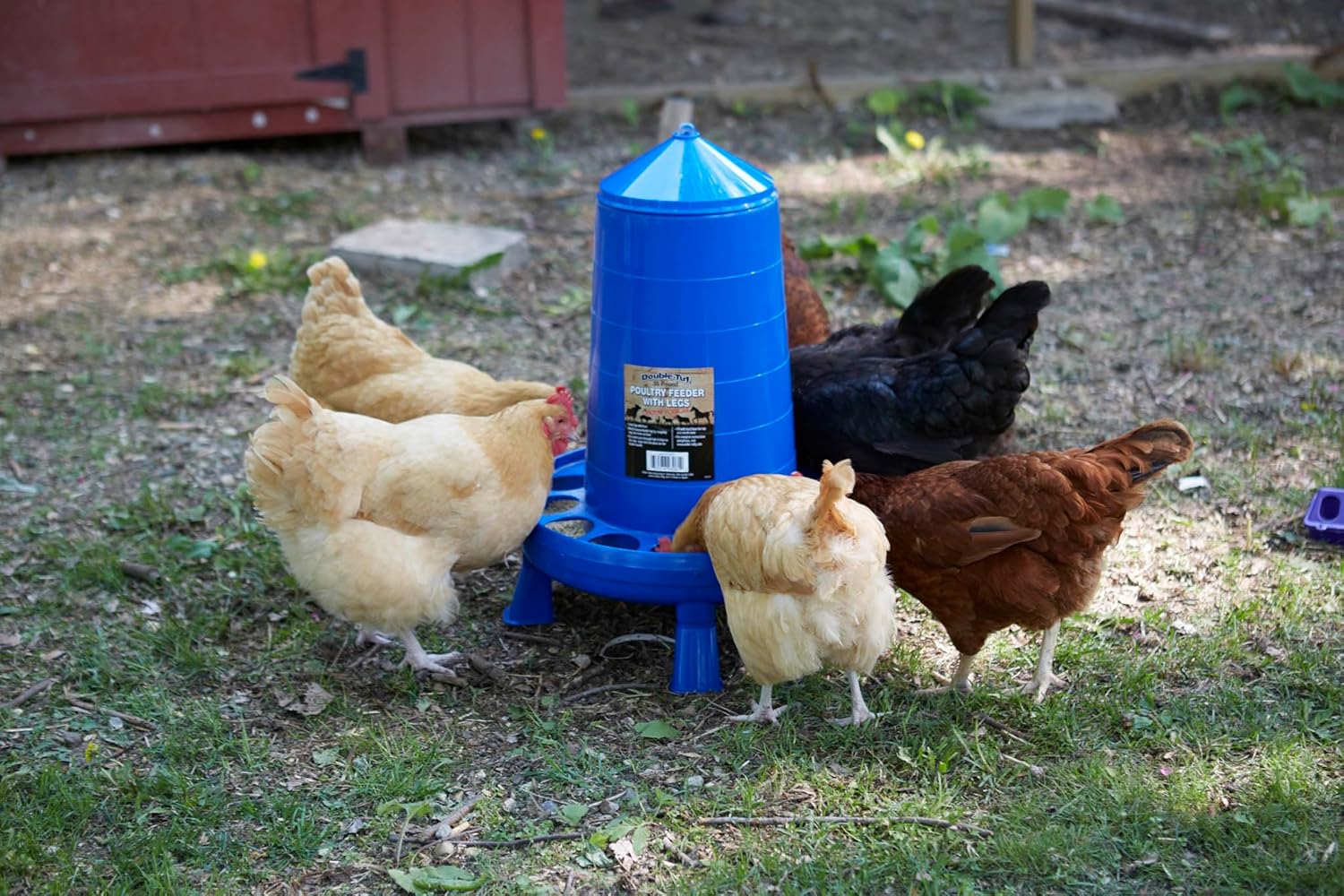 Double-Tuf® Poultry Feeder with Legs | Durable Feeding Container | Carrying Handle for Chickens & Birds | Chicken Feeder | 35 Lbs