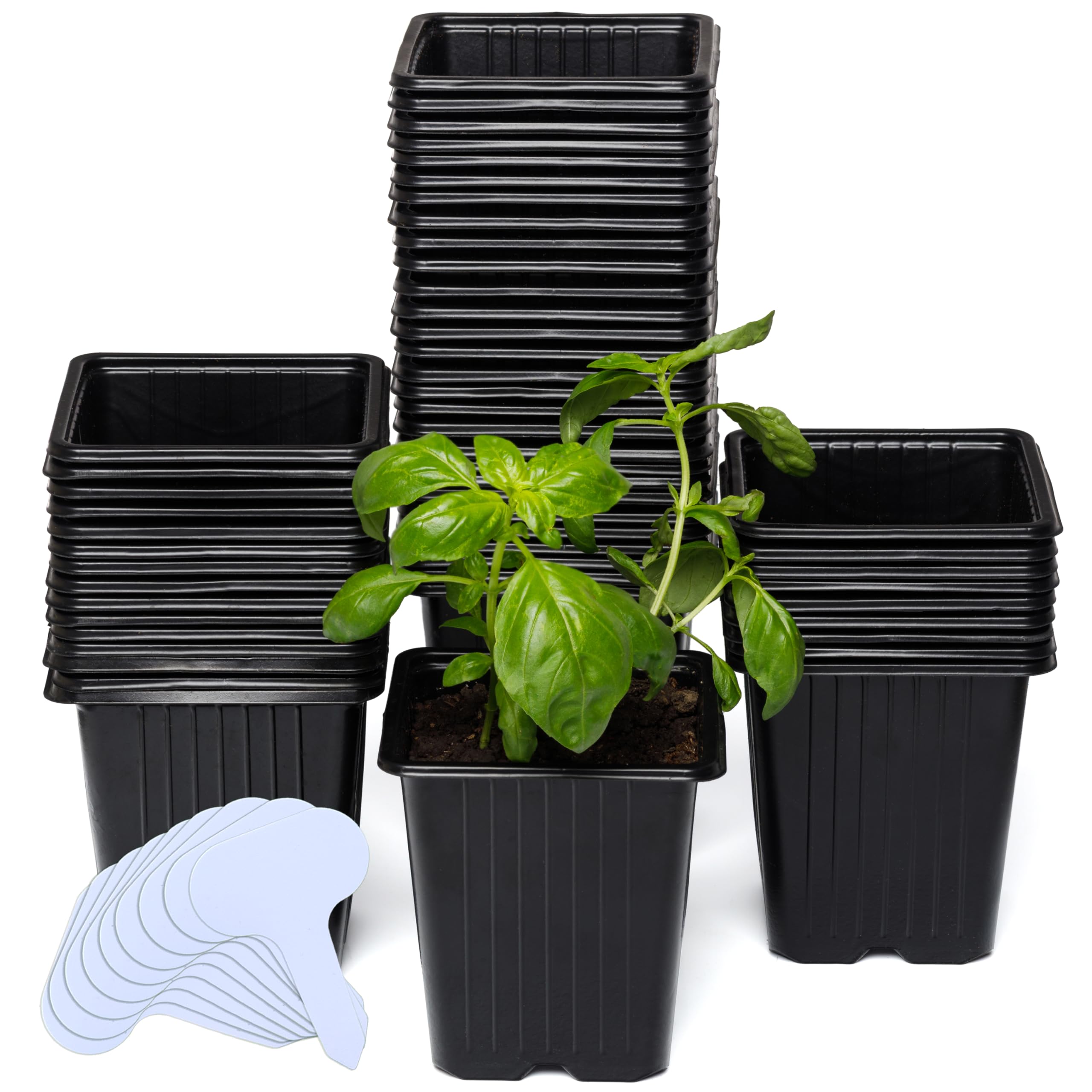 CARPATHEN 60Pack Square Nursery Pots - 3.8 Inch Reinforced Nursery Pots for Plants with Drainage - Reusable Seed Starter Pots for Flowers, Vegetables - Seedling Pots Kit with 10 Plastic Reusable Tags