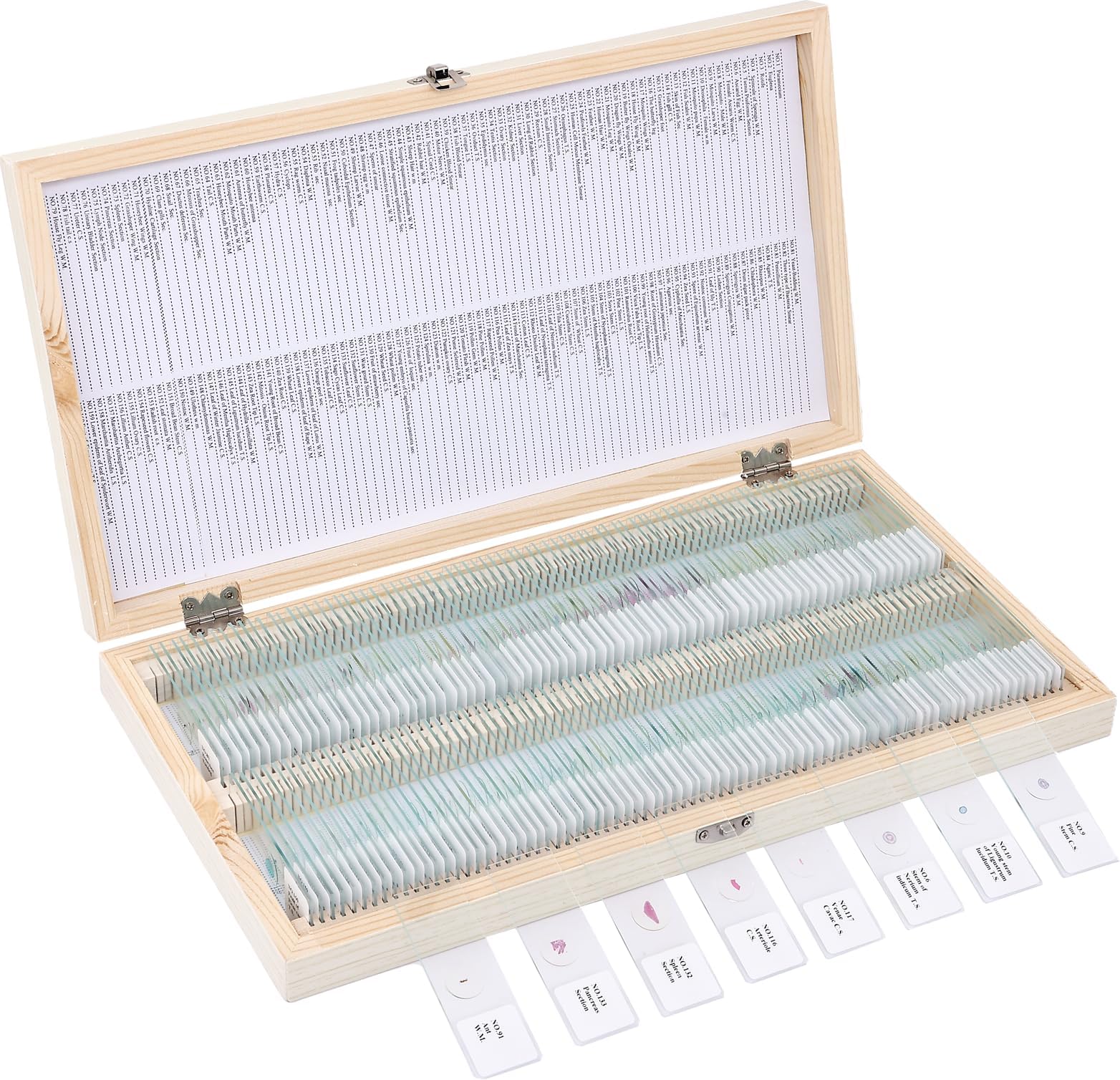 - 160-Pcs Microscope Slides with Specimens,Plant, Animal, Algae,etc,Educational Microscope Slides and Covers for Young Scientists,Perfect for Biology Class and Experiments
