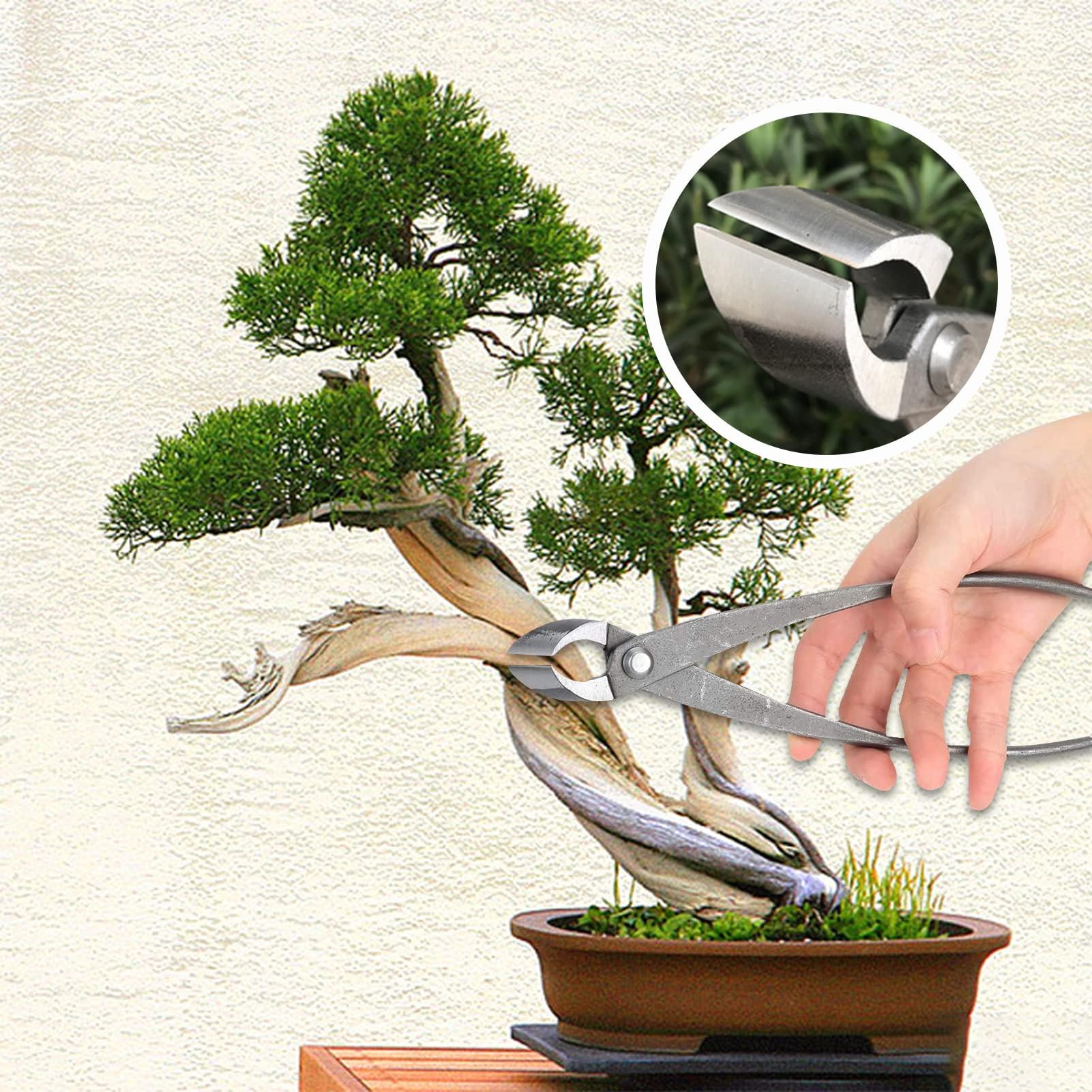 HERCHR Tronchesi Bonsai,Tronchese per Rami,Bonsai Cutter da in Acciaio al Carbonio,Ronchese Concava dal Taglio Dritto per Bonsai,Strumenti per Bonsai,Cesoia da Giardino Multifunzionale 21,3x5,6 cm