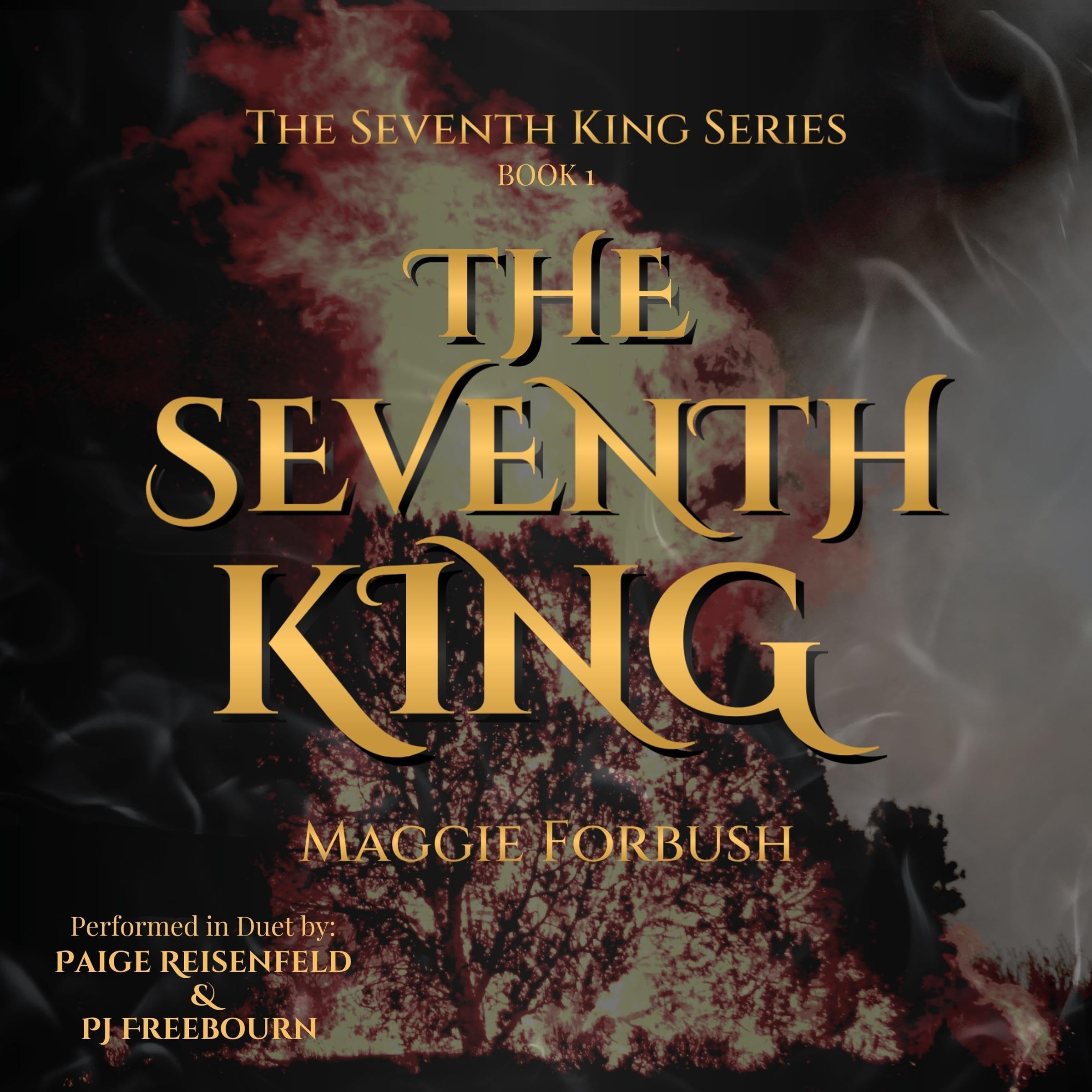 Cover art for The Seventh King