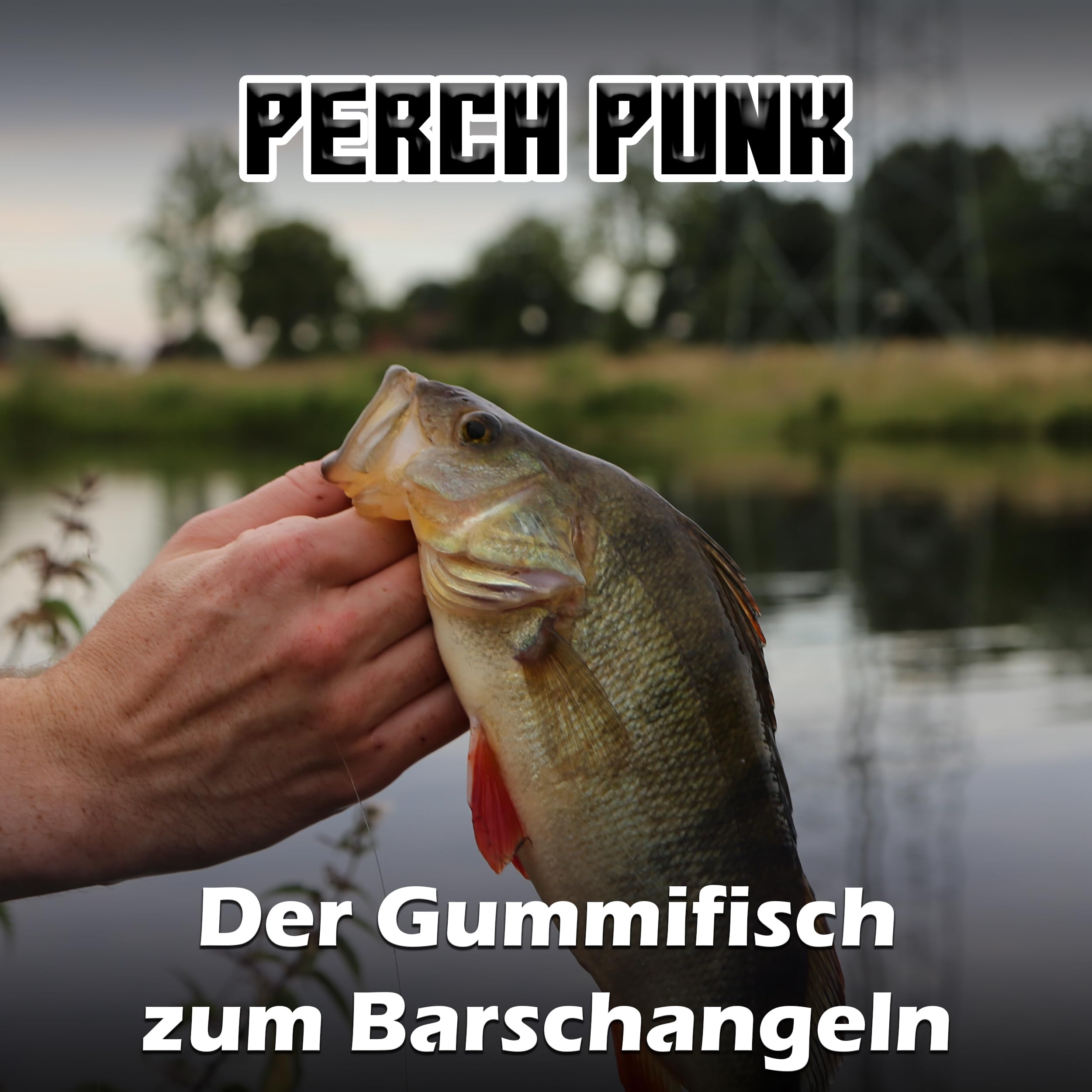 Paradox Fishing Gummifische 7,5cm 10cm 13cm - Zanderköder Gummifisch Zander Köder Gummifische Set Barschköder Barsch Köder - perfekt für Barsch und Zander