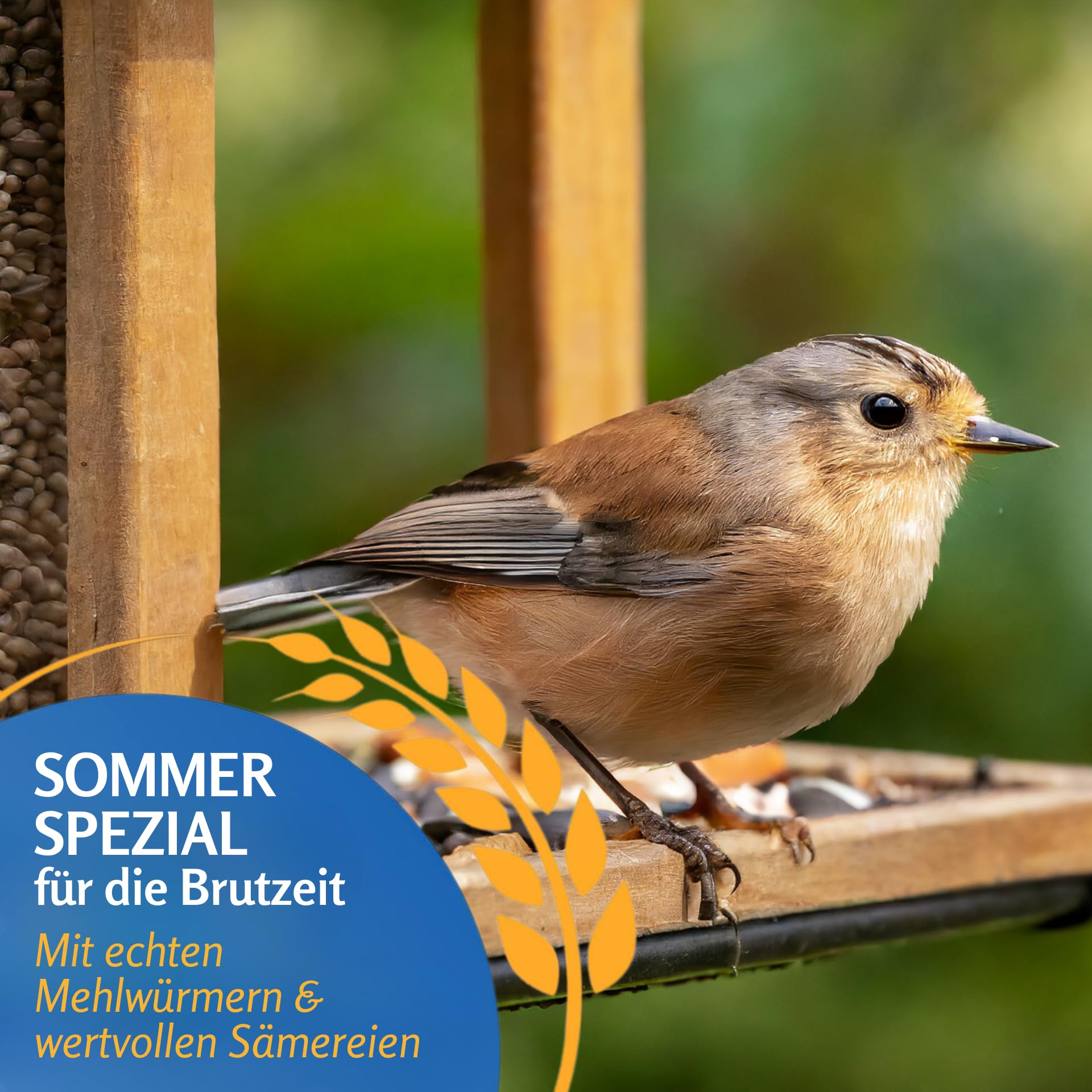 Leimüller Vogelfutter Sommer Spezial 25kg Wildvogelfutter Wildvögel Vögel | Mit Mehlwürmer & Sonnenblumenkerne, Ganzjahresfutter, für Wildvögel, Meisen & Rotkehlchen