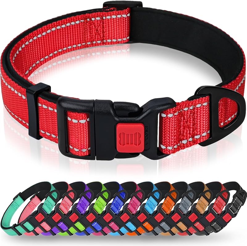 Taglory Reflective Large Dog Collar, Comfortable for Safe Night Walks,Red | Soft Neck Cushioning, Adjustable 16-24 in, Sturdy Webbing Withstands Strong Pullers, Zinc Alloy D-Ring for Leash and ID Tags