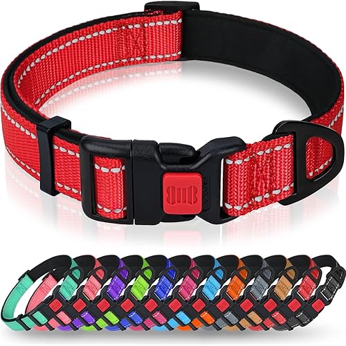 Taglory Reflective Dog Collar with Safety Locking Buckle, Adjustable Nylon Pet Collars for Medium Dogs Female Male, Red, M