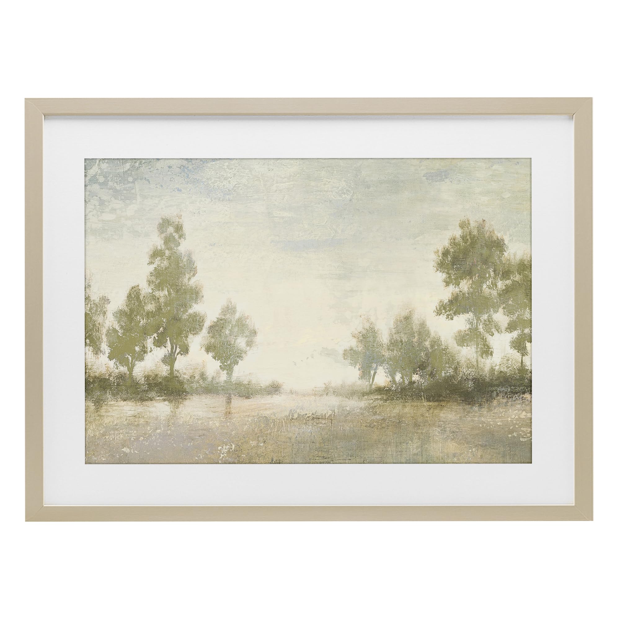 'Forest Light Distant Valley'| Framed Print Under Glass