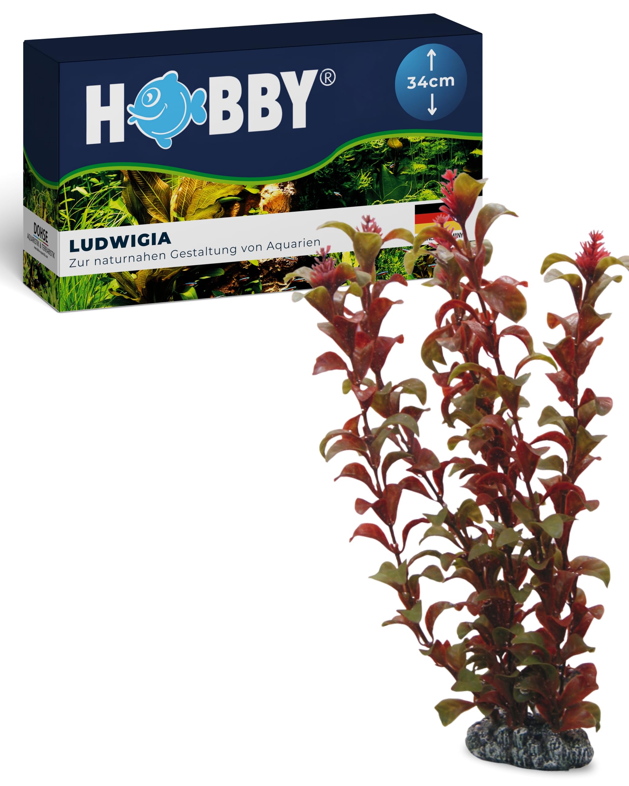 HOBBY Aquaristik Ludwigia I 34 cm I künstliche Aquarienpflanze I pflegeleichte Aquarium Deko I naturgetreue Dekoration für Süßwasseraquarien I Wasserpflanze aus Kunststoff