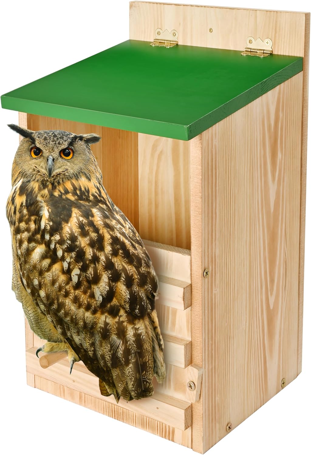 Owl House,Screech Owl House with Bird Stand Amazon.co.uk Garden