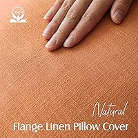 Vista 204 de Foindtower Paquete de 2 fundas de almohada decorativas de lino y liso, funda de cojín decorativa suave, estilo bohemio campestre para silla, sofá