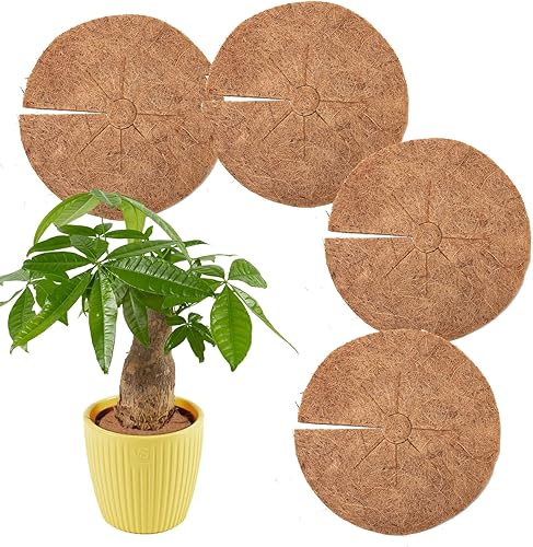 Tapete de fibra de coco, 4 unidades, 18 pulgadas, protector de árbol de coco de coco natural, protección de árbol de coco natural, tapete de