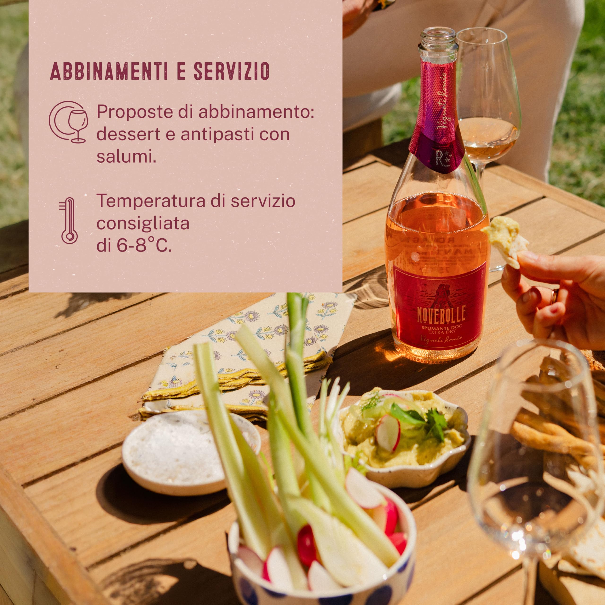 Vigneti Romio Vino Spumante Rosato Novebolle Romagna DOC, 11.5 % Vol, Confezione con 6 Bottiglie da 750 ml