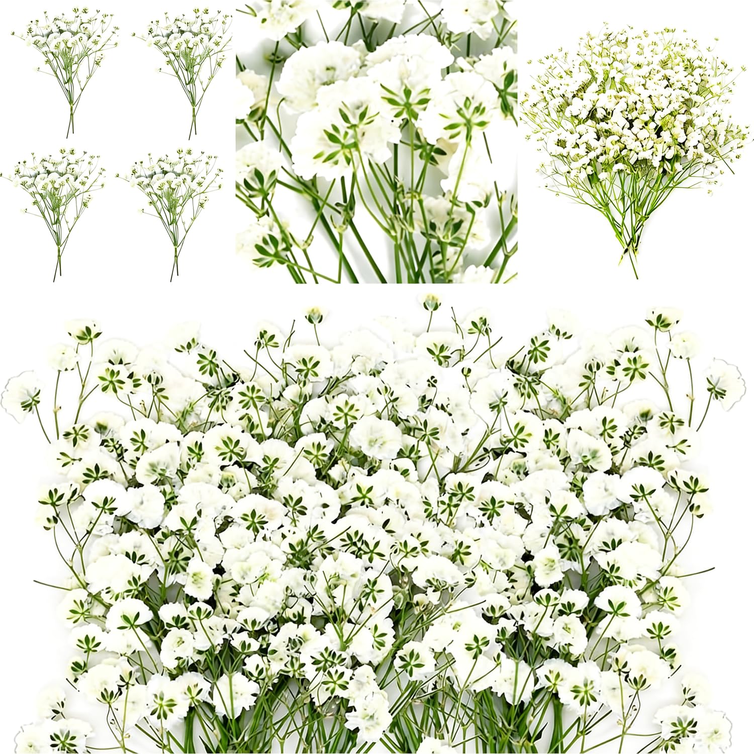 ACKKOR 60 Pcs Dried Pressed Baby Breath Flowers Artificial with Tweezer, Real Nature Gypsophila Dried Flowers for Resin Art Crafts DIY Card Making Wedding Card Cakes (White)