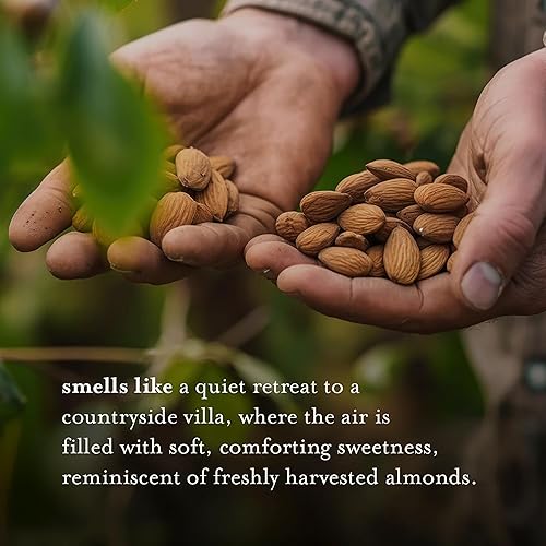 Miniatura 4 de A La Maison Gel de ducha hidratante de almendras dulces gel de ducha natural molido francés triple para mujeres y hombres botella de 2536 onzas