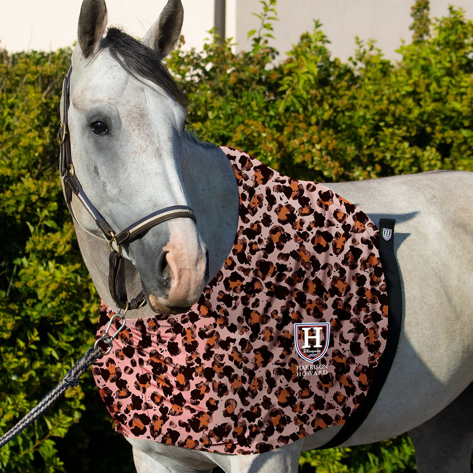 Horse Shoulder Guard: Ultimate Protection for Your Equine Companion