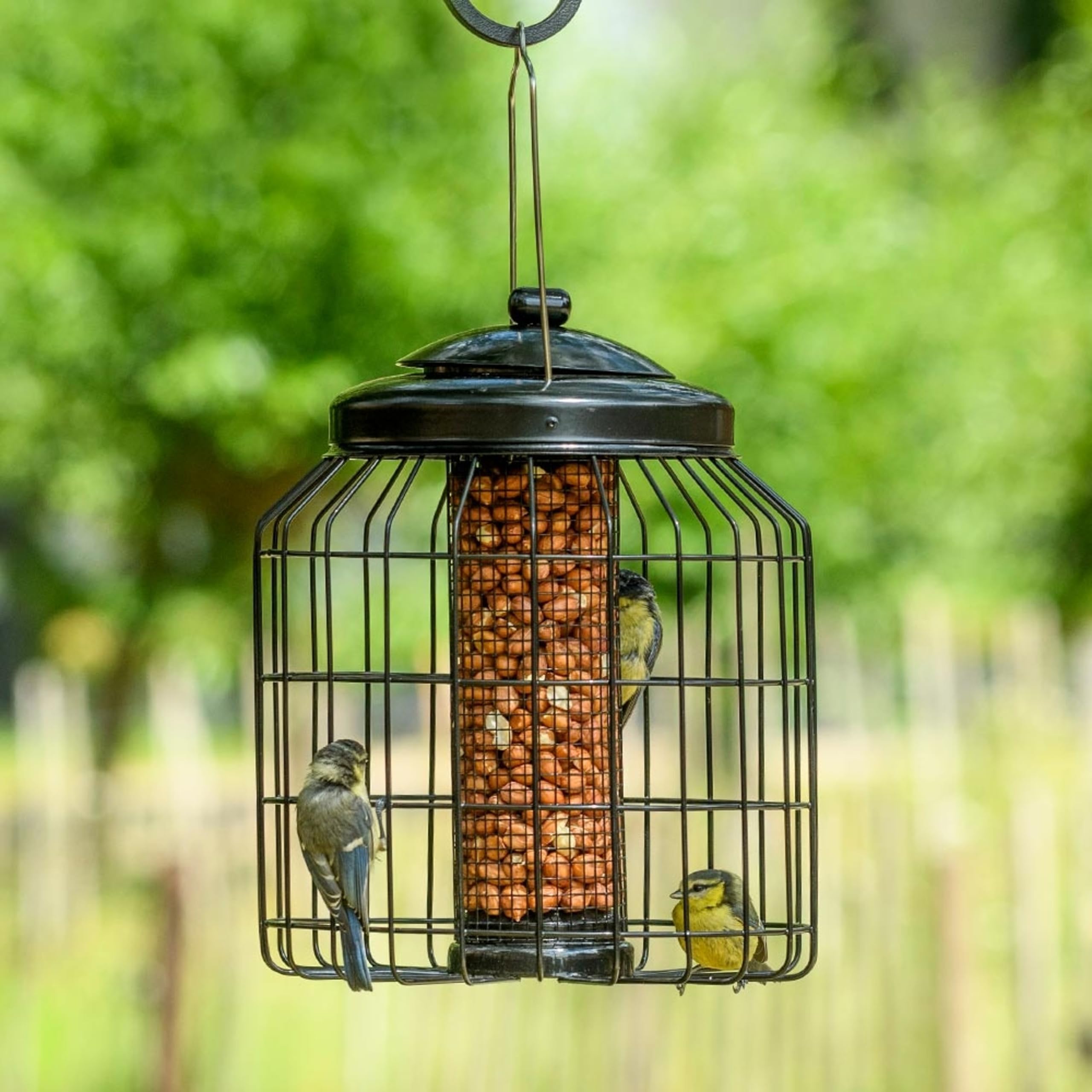 CJ Wildlife Peanut Feeder for Birds – Peanut Bird Feeder – Squirrel-Resistant Metal Feeder with Protective Guardian Cage – Garden Bird Feeding