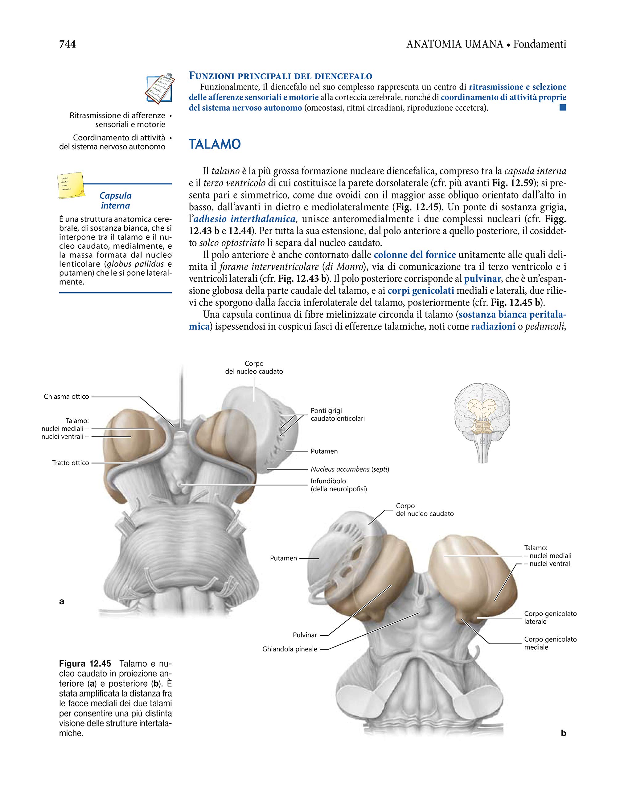 Anatomia umana. Fondamenti. Con istituzioni di istologia. Con e-book. Con espansione online
