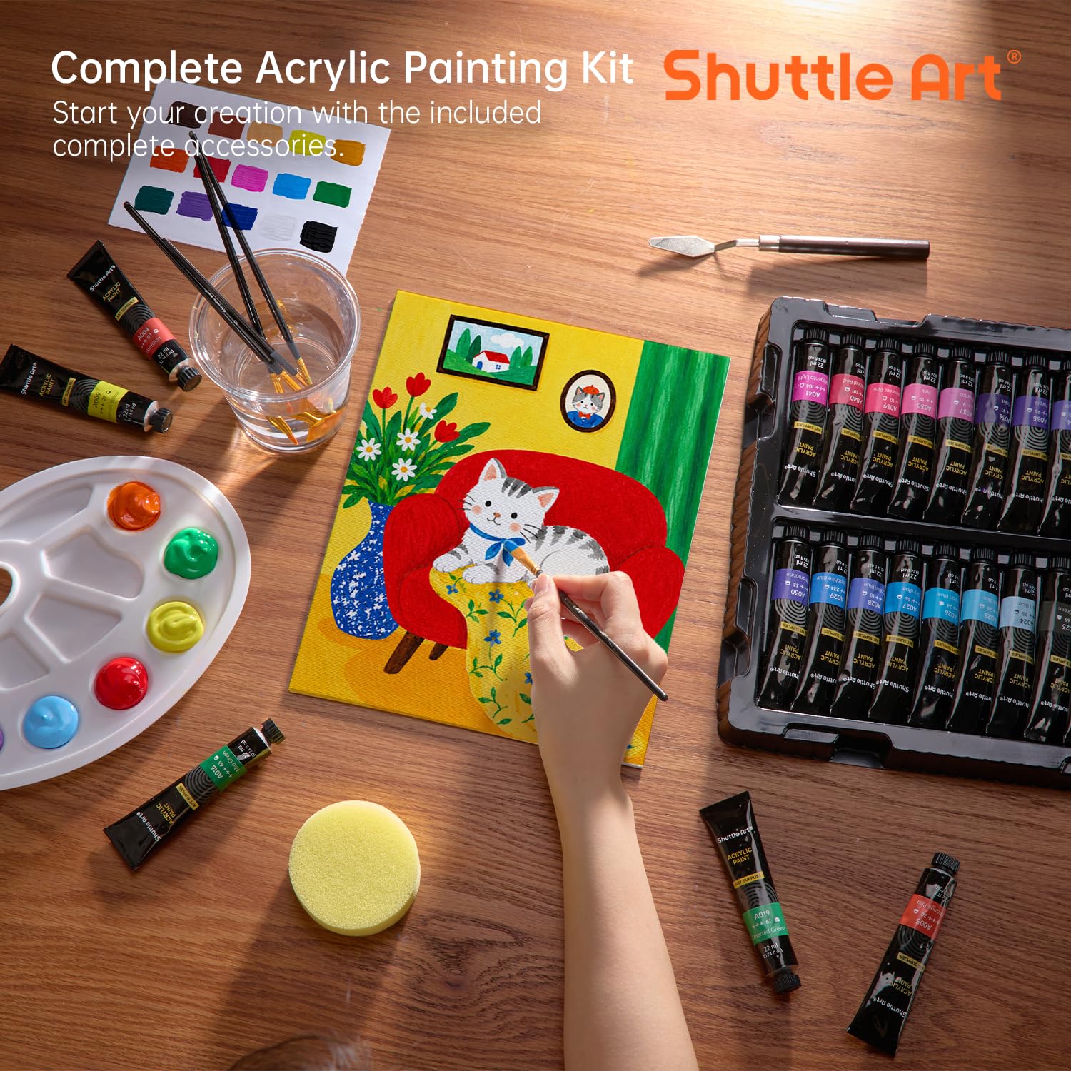 Zestaw PitturaAcrilica Shuttle Art 66 Farb akrylowych 22ml/Tubo 3 Spazzole, Qualità Professionale per Gli Artisti