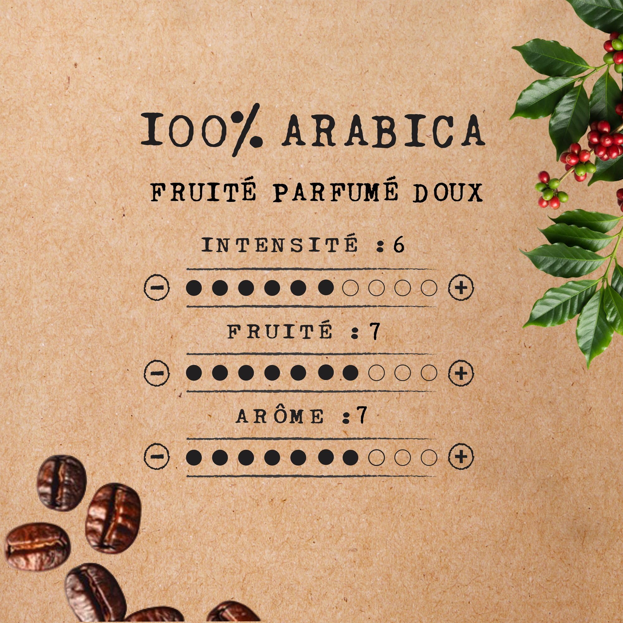 Cafés Méo - Dosettes Café Gastronomique Pur Arabica - 432 Capsules - Compatible avec Senseo - Intensité 6/10 - Arômes Authentiques, Doux et Parfumé - Lot de 12x36