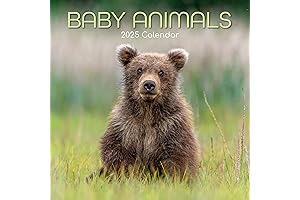 Baby Animals Up Close Wall Calendar 2022 with Friendly Reminders