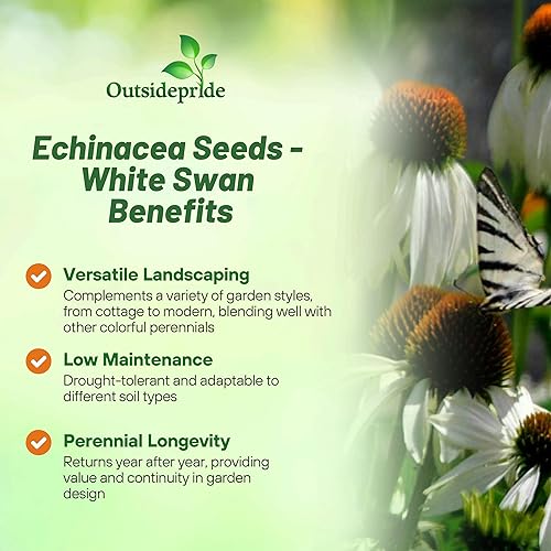Miniatura 3 de Outsidepride Echinacea White Swan Equinácea Plantas fragantes de flores cortadas para jardín, 1000 semillas