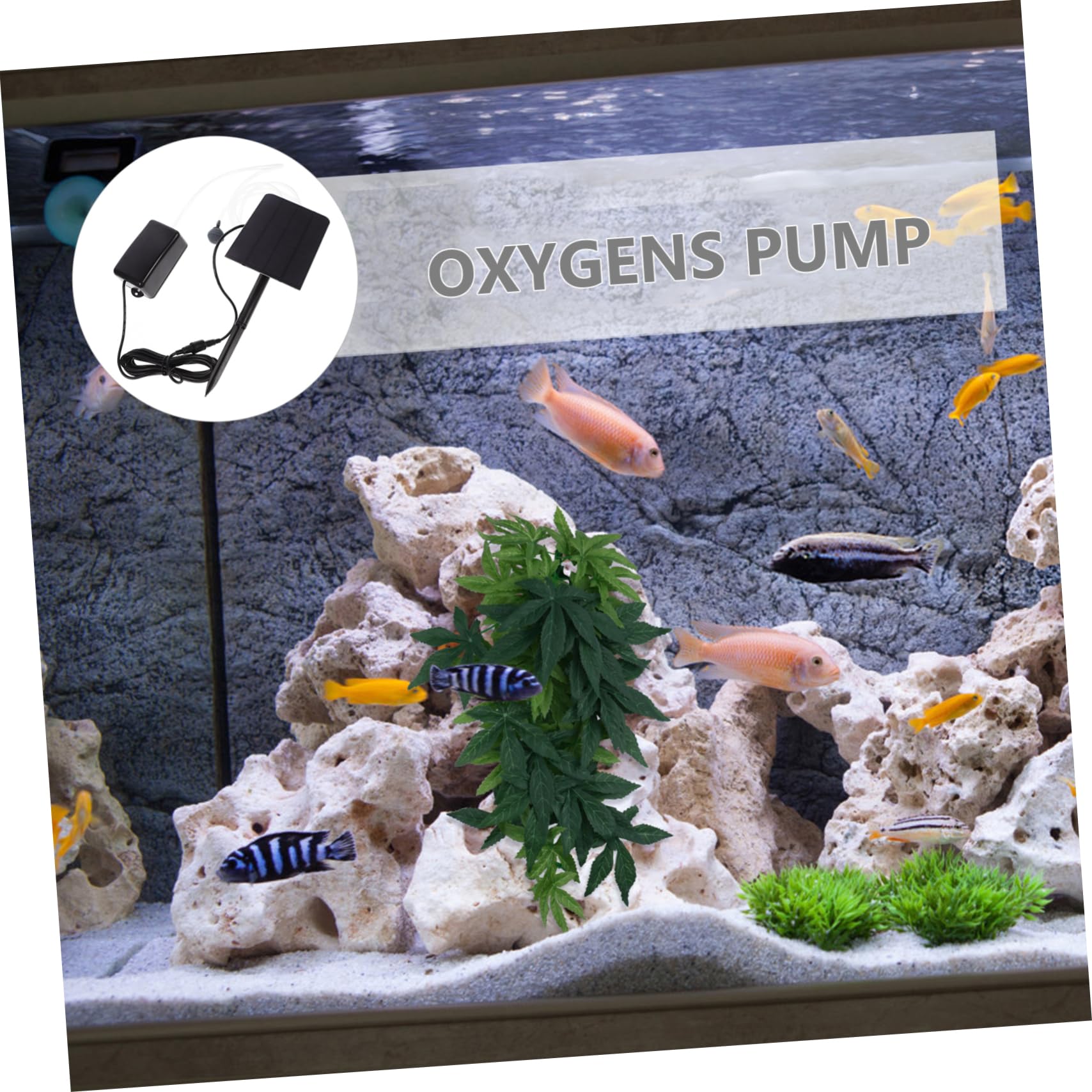 Housoutil Pompe À Solaire Pompe À Air Solaire Ponde De D'Aquarium Aérateurs