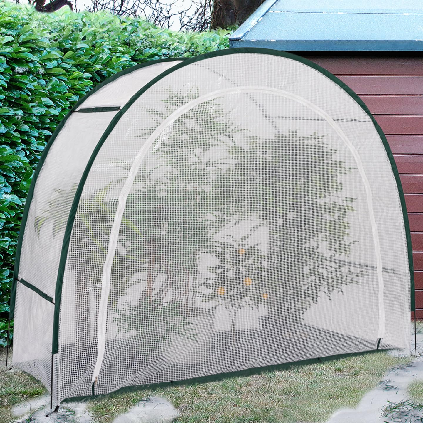 IDMarket - Wintergewächshaus Halbmond 200 x 80 x 170 cm Balkon und Terrasse
