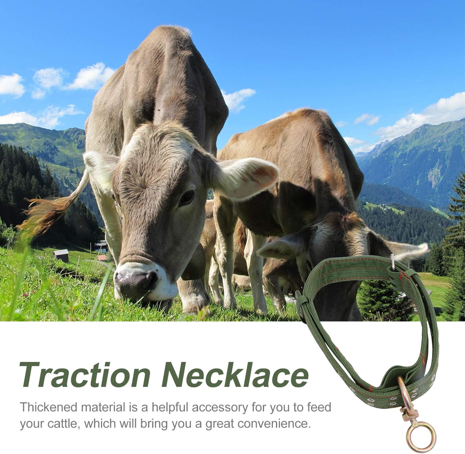 DOITOOL Cow Collar Canvas Calf Collar Neck Strap Adjustable Buckle Livestock Traction Necklace for Farm Animals Sheep Horse Pet Green - 4 Pack