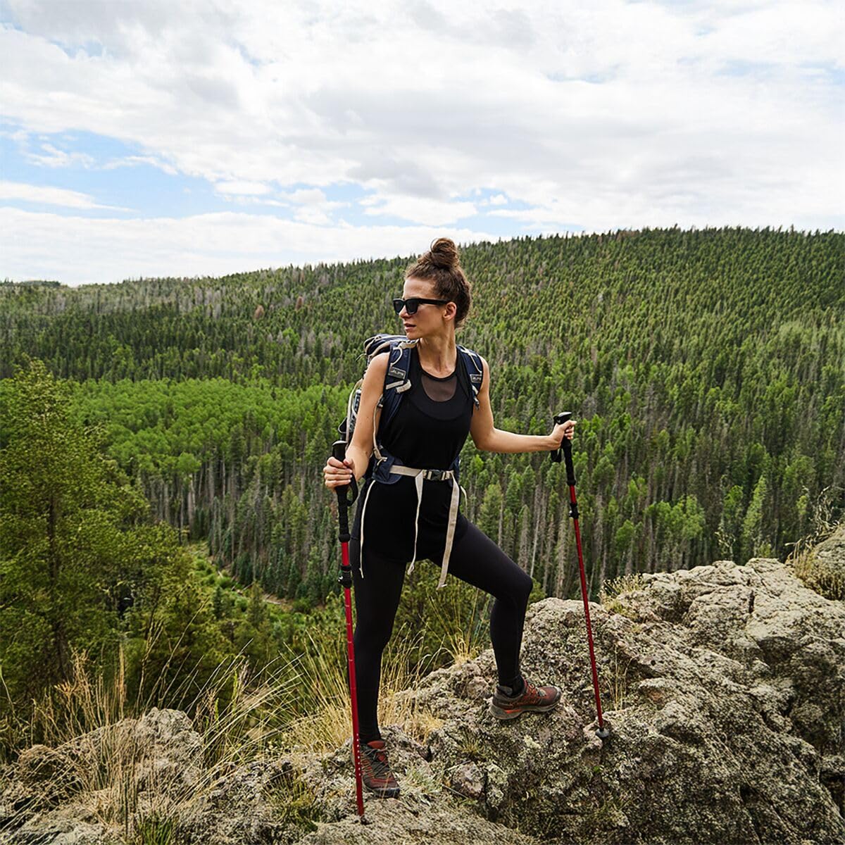 (取寄) アルプスマウンテニアリング コンクエスト トレッキング ポール ALPS Mountaineering Conquest Trekking Pole Red Amazon.com : ALPS Mountaineering Conquest Trekking Pole, Red, red