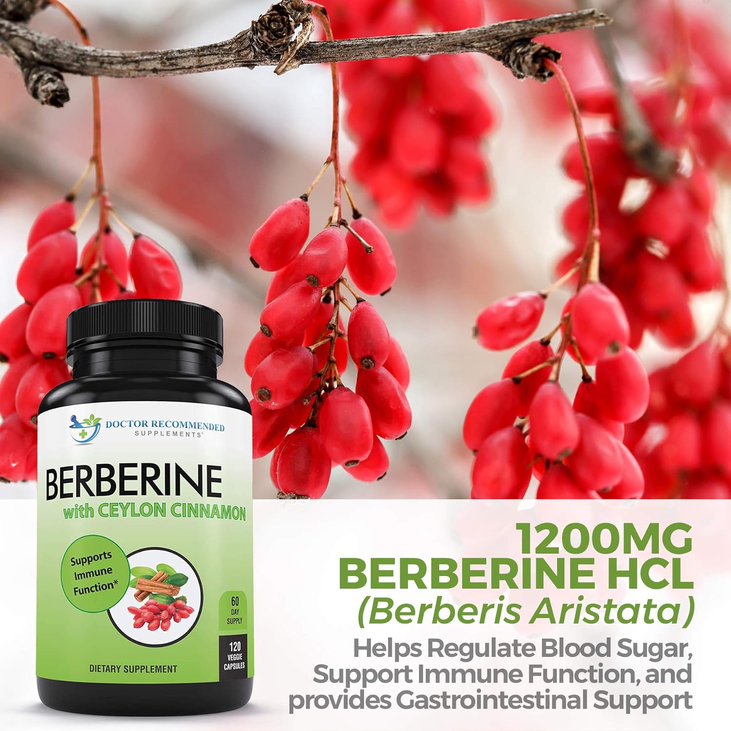 Berberine with Ceylon Cinnamon - 1200mg Berberine & 100mg Organic Ceylon Cinnamon - 120 Veggie Capsules, Blood Sugar Support, Healthy Immune System Cardiovascular Heart & Gastrointestinal Wellness : Health & Household