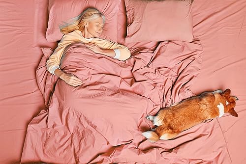 Miniatura 4 de U.S. Polo Assn. Para todas las estaciones, material de camiseta suave y acogedor, juego de sábanas de algodón de 4 piezas de 1800 hilos