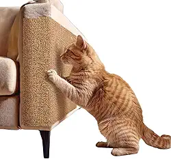 Arranhador Adesivo Premium Para Gatos- Sofá Cama Box 50x50cm (BEGE)