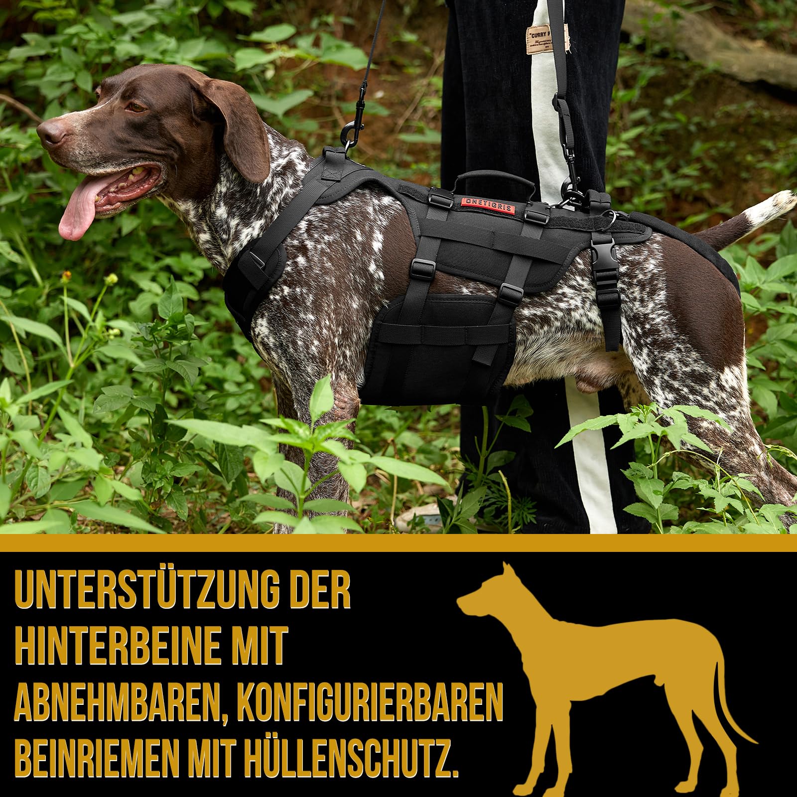 OneTigris Hundegeschirr, Invictus Hunde Tragehilfe für Mittelgroße Große, Einstellbar Gehhilfe für Hunde mit 3 Griffen für behinderte, verletzte oder ältere Schwarz L