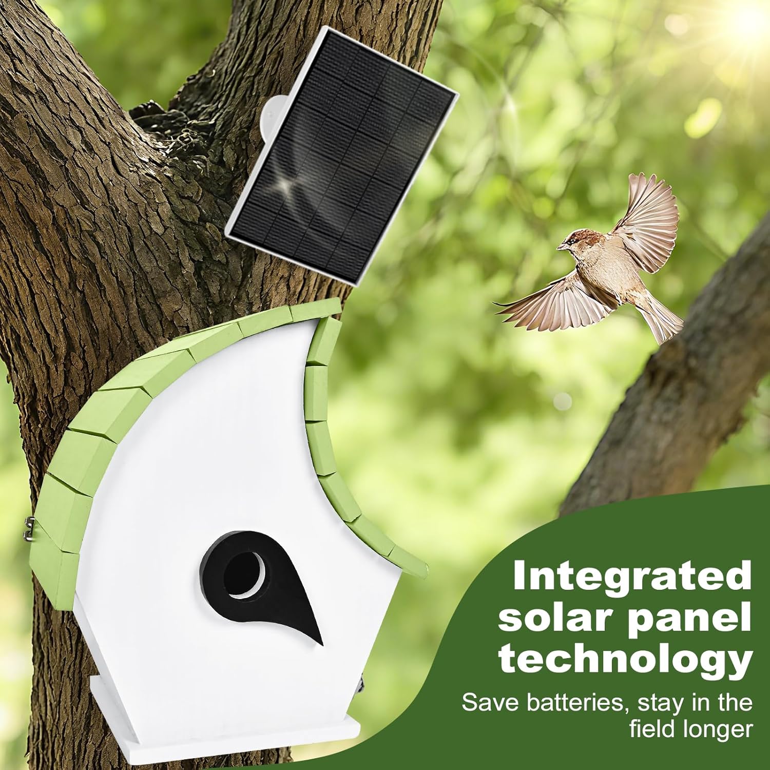Solar Powered Bird House with Camera, 1080P HD Outdoor Birdhouse with Auto-Capture of Nest Photos & Videos, Smart Bird House with 2.4G WiFi, Wooden Bird Houses