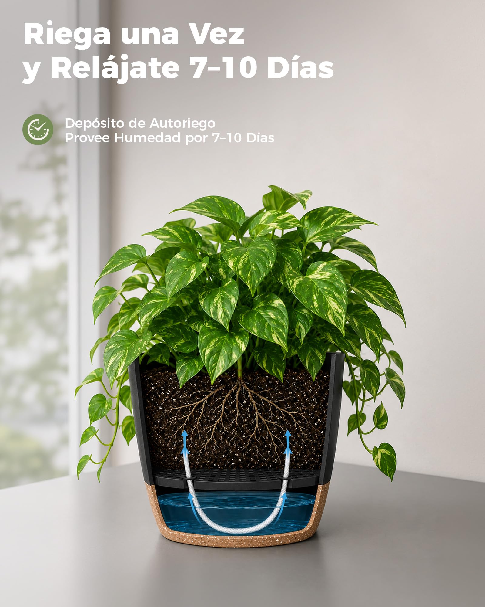 Bamworld Macetas Autorriego de Interior, Tiesto de Plástico con Base Integrada, Pack de 6 (20/18/17/15/14/13 cm), para Cocina, Balcón, Jardín y Vivero Interior macetas Negro